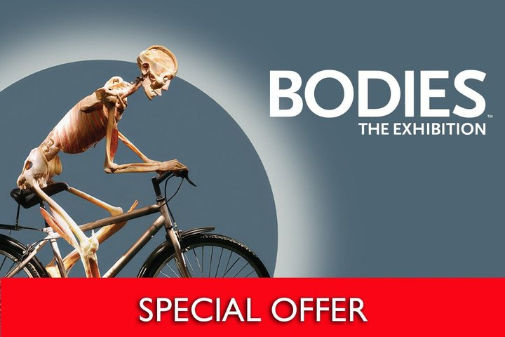 Bodies The Exhibition Tickets at the Luxor Hotel and Casino - Photo 1 of 17